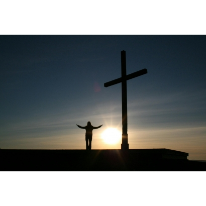 pexels-pixabay-54333 _1_.jpg